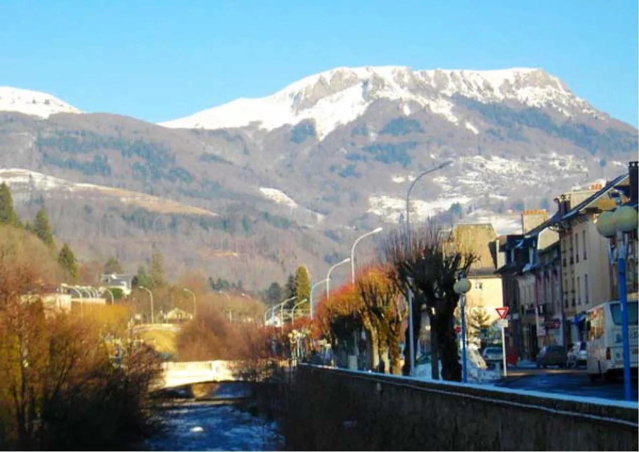 Appartement De 2 Chambres Avec Vue Sur La Ville Jardin Clos Et Wifi A La Bourboule Apartment